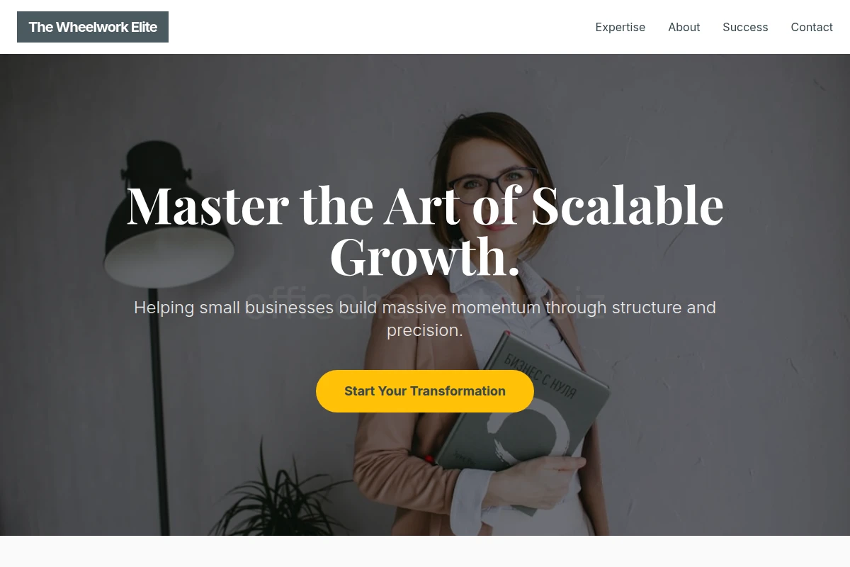Steady Business Coach
